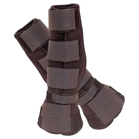 プレミア(Premiere) 乗馬 馬用プロテクター Premiere Tendon Boots