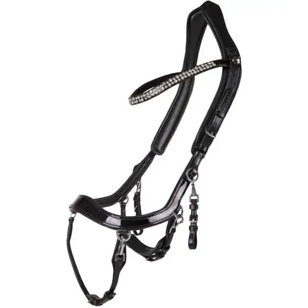 プレステク(PresTeq) 乗馬 頭絡 Bridle FaySport Shine, Anatomical, with Patent Leather