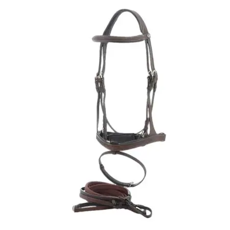 プリベレージエキタシオン(Privilege Equitation) 乗馬 頭絡 Riding bridles Le Touquet