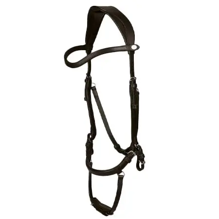 ピーエスオブスウェーデン(PS of Sweden) 乗馬 頭絡 Bridle King Edward
