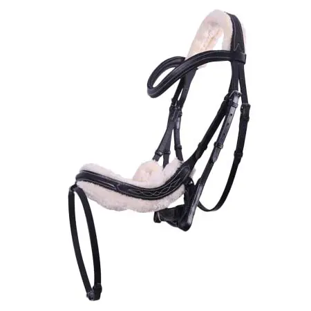 QHP(キューエイチピー) 乗馬 頭絡 QHP Bridle Ontario