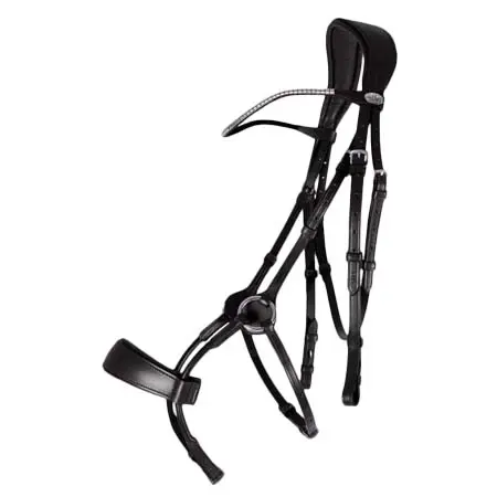 QHP(キューエイチピー) 乗馬 頭絡 QHP Bridle Sedna
