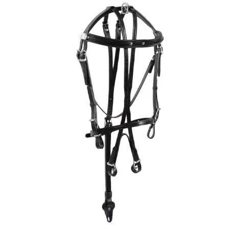 レーシングタック(Racing Tack) 乗馬 頭絡 Racing Tack Leather Panurge Bridle