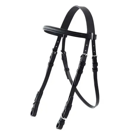 ソメスサドル(SOMES SADDLE) 乗馬 頭絡 革天井　BRL-02-BK