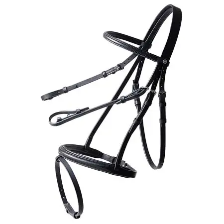 ソメスサドル(SOMES SADDLE) 乗馬 頭絡 Reiz 水勒 コンビ鼻革　BRL-01