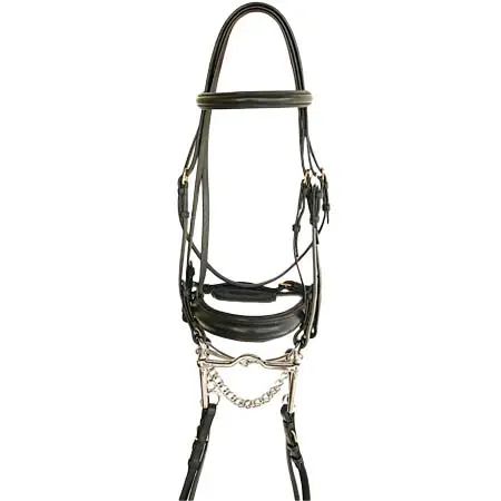 タッティーニ(Tattini) 乗馬 頭絡 Daslö weymouth bridle