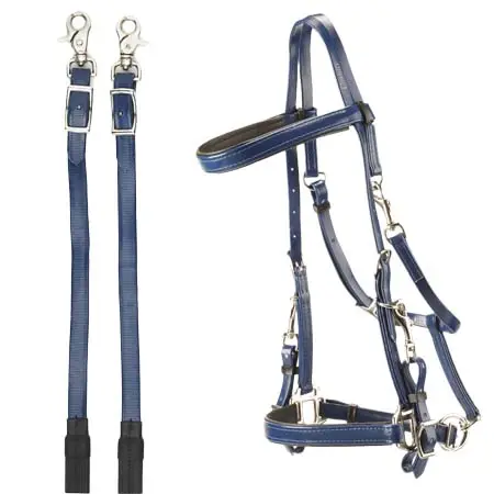 タッティーニ(Tattini) 乗馬 頭絡 Daslö bridle-halter