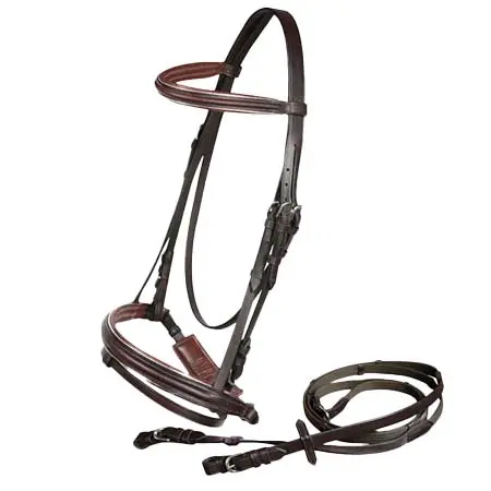 トソニ(Tosoni) 乗馬 頭絡 Silver Edge Bridle