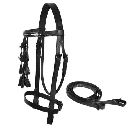 トソニ(Tosoni) 乗馬 頭絡 Bridle Spanish model