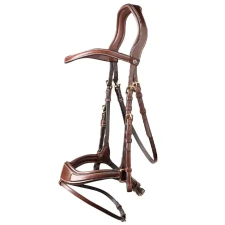 トラストエクエストリアン(Trust Equestrian) 乗馬 頭絡 Trust Bridle Falsterbo T-motion Brown/Gold