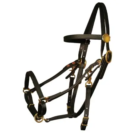 タッカートレイルサドルズ(Tucker Trail Saddles) 乗馬 頭絡 Beta BioThane Halter Bridle