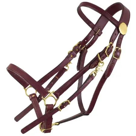 タッカートレイルサドルズ(Tucker Trail Saddles) 乗馬 頭絡 Classic Standard Halter Bridle