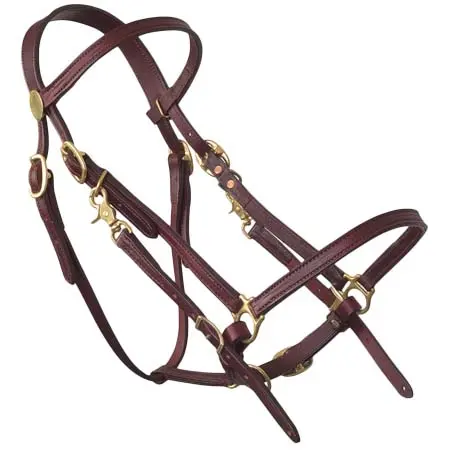 タッカートレイルサドルズ(Tucker Trail Saddles) 乗馬 頭絡 Halter Bridle Lite