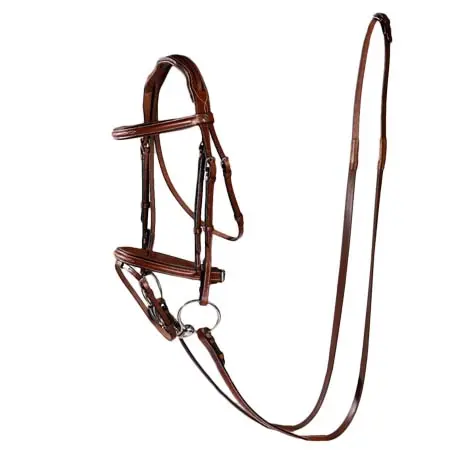 ターフマスターズ(Turfmasters) 乗馬 頭絡 Flash Bridle