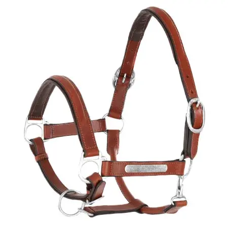 ウンブリアエクイタツィオーネ(Umbria Equitazione) 乗馬 頭絡 ダブルレザーの真鍮バックル付き馬用ホルター