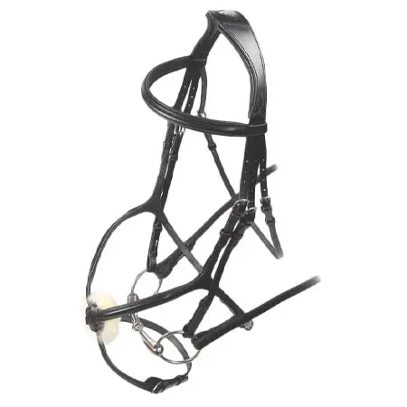ベロシティ(Velociti) 乗馬 頭絡 RAPIDA Grackle Bridle
