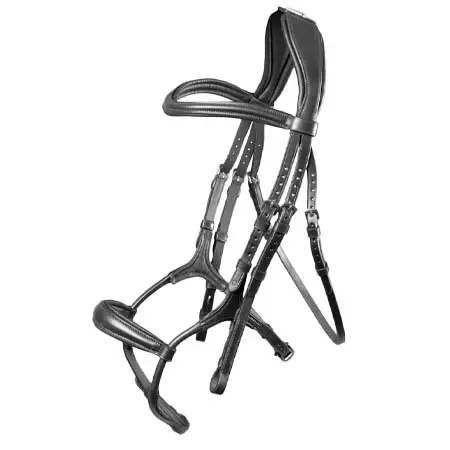 ベロシティ(Velociti) 乗馬 頭絡 Lusso Rolled Padded Cavesson Bridle