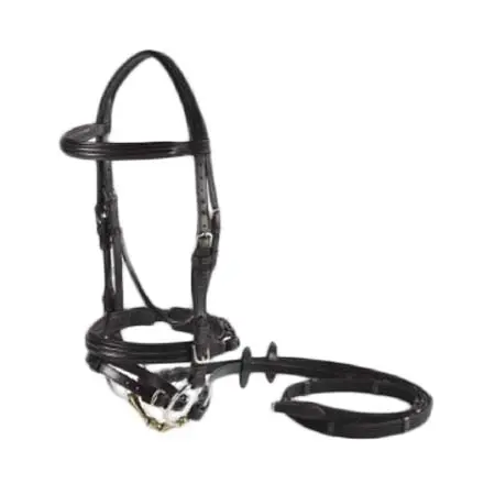 ヴェスプッチ(Vespucci) 乗馬 頭絡 Double Raised Dressage Snaffle Bridle