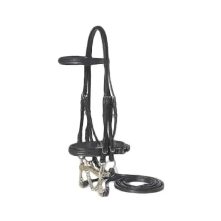 ヴェスプッチ(Vespucci) 乗馬 頭絡 Weymouth Double Raised Dressage Bridle