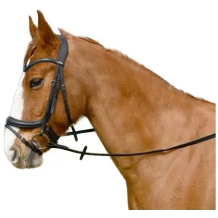 ウィンザーエストリアン(Windsor Equestrian) 乗馬 頭絡 Leather Anatomic Flash Bridle