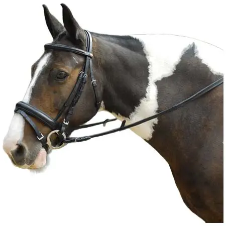 ウィンザーエストリアン(Windsor Equestrian) 乗馬 頭絡 Leather Comfort Bridle with Flash Noseband – Equine Bridles