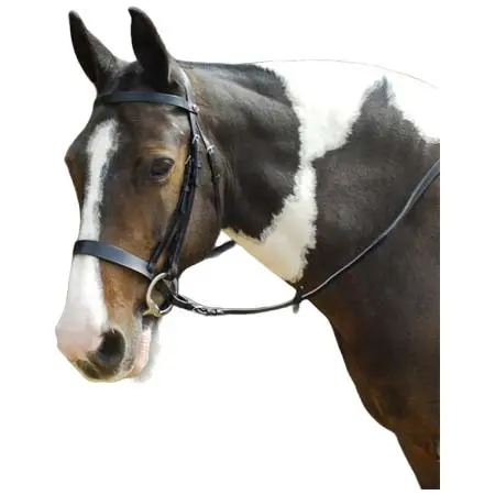 ウィンザーエストリアン(Windsor Equestrian) 乗馬 頭絡 Leather Hunter Bridle with Wide Cavesson Snaffle Noseband – Bridles for Sale