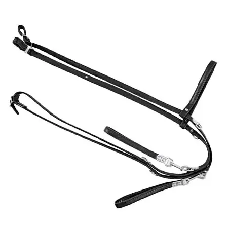 ザルディ(Zaldi) 乗馬 手綱 HIPPOTHERAPY LEATHER REINS