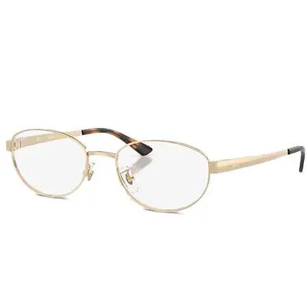 Ray-Ban(レイバン) RB3774D OPTICS RB3774VD 2993 55-19