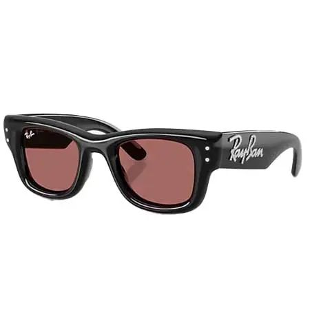 Ray-Ban(レイバン) WAYFARER PUFFER CRYSTAL EDITION RB4940B 686485 47-23