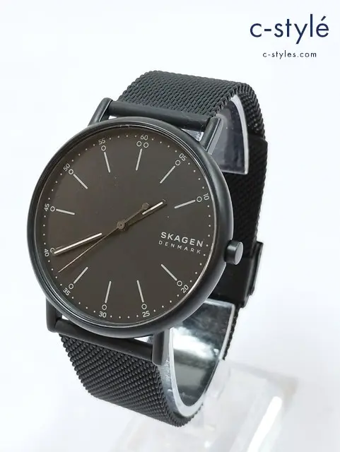 SKAGEN スカーゲン 腕時計 ブラック クォーツ式 ミッドナイト 252401