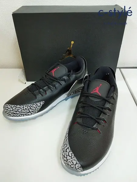 NIKE ナイキ スニーカー 28cm ブラック AIR JORDAN ADG AR7995-001