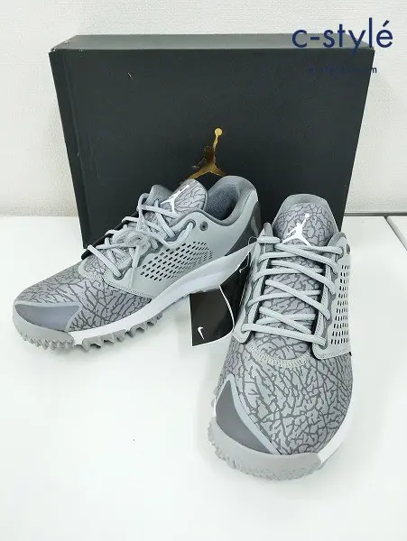 NIKE ナイキ スニーカー 28cm グレー JORDAN TRAINER ST G AH7747-001