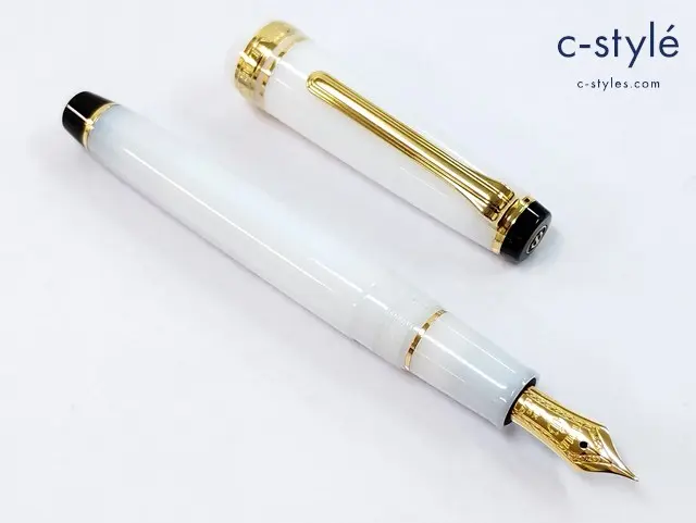 SAILOR セーラー 万年筆 ホワイト FOUNDED1911 SHIKIORI 四季織 雪月空葉 14K 585