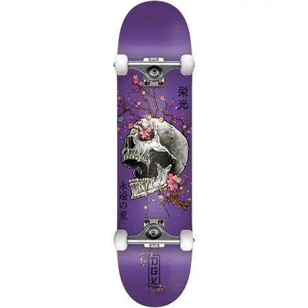 DGK(ディージーケー) スケートボード 用品 コンプリート Ancestry Purple Complete