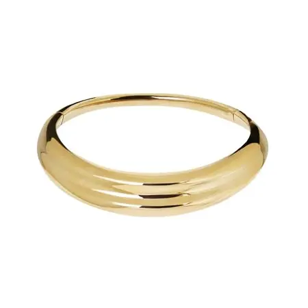 サフィヤ(Safiyaa)   Gold Choker Necklace